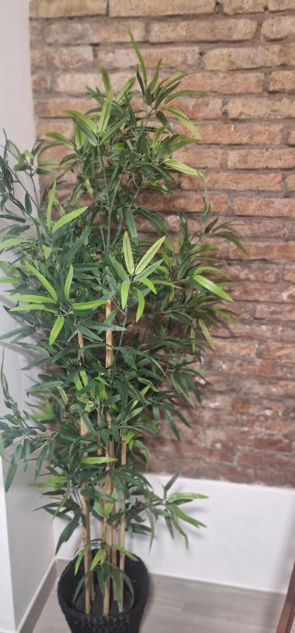 Barcelona,Apartamento Con Terraza Διαμέρισμα Οσπιταλέτ ντε Λιοβρεγάτ Εξωτερικό φωτογραφία